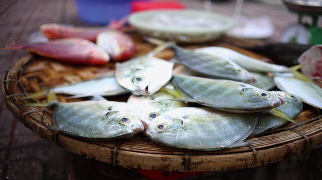 Fresh raw fish on a wicker tray at a local Vietnamese street market in Vietnam. Traditional seafood trade and daily catch display at an outdoor oriental bazaar in a Southeast Asia city.