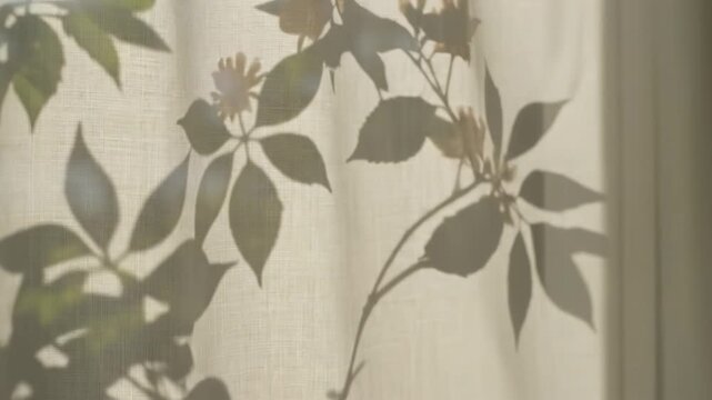 Soft shadows of plant leaves and flowers cast on a textured linen curtain in warm sunlight