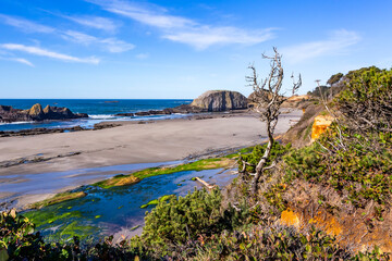 Seal Rock scenic view in Oregon Pacific coast in sunny weather