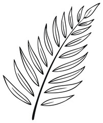 Fototapeta premium Minimalist botanical line art drawing of a tropical palm leaf frond simple design