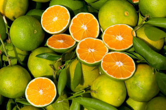 Italy, Sicily, Siracusa, Ortygia.  Ripe green oranges at the market