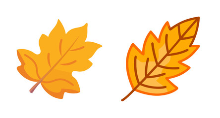 Obraz premium Autumn leaves vector illustration for fall season designs and thanksgiving day graphics and art