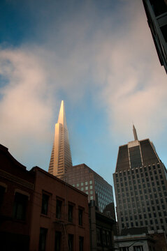 USA, California, San Francisco, Transamerica Building.
