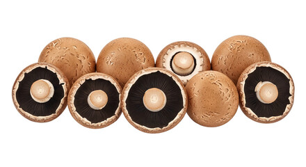 A collection of fresh, brown mushrooms, meticulously arranged and ready for culinary delights