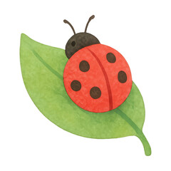 Fototapeta premium PNG Cute ladybug on green leaf
