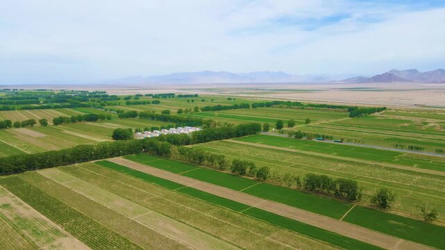 Ararat Valley Agricultural Landscape Aerial View