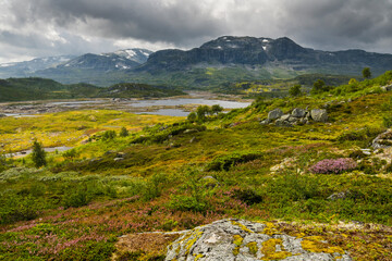 Fototapeta premium Gluggvardnuten, Haukelifjell, Vestland, Norwegen