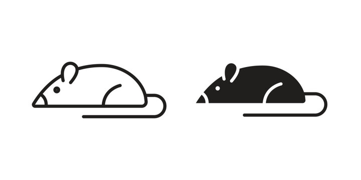 Rat icon. Linear icon collection. Editable stroke. Vector illustrations