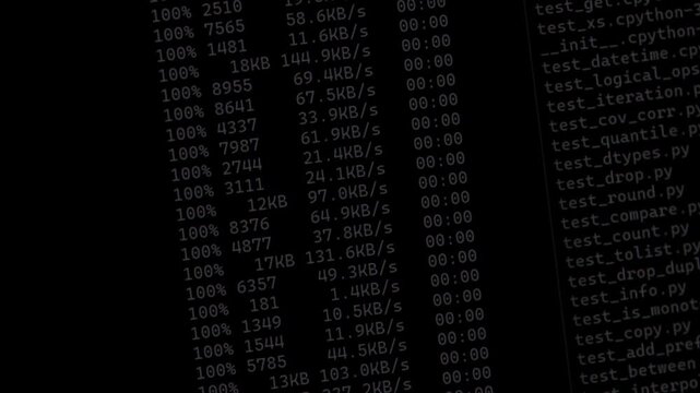 Terminal screen displaying file download progress with percentage indicators and transfer speeds.