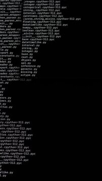 Dark screen with command-line outputs listing files and system directories in structured columns.
