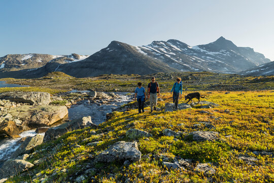 Vater mit zwei Jungen und Hund, Hjelledalstinden, Falketind, Koldedalen, Jotunheimen Nationalpark, Innlandet, Norwegen