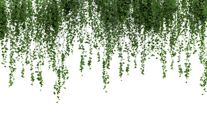 Hanging Green Foliage Over White Background - Nature Breeze