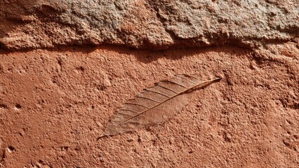 Autumn Leaf on a Textured Surface