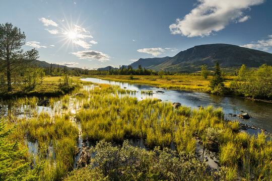 Skogshorn, Helsingvatnet, Hemsedal, Buskerud, Norwegen