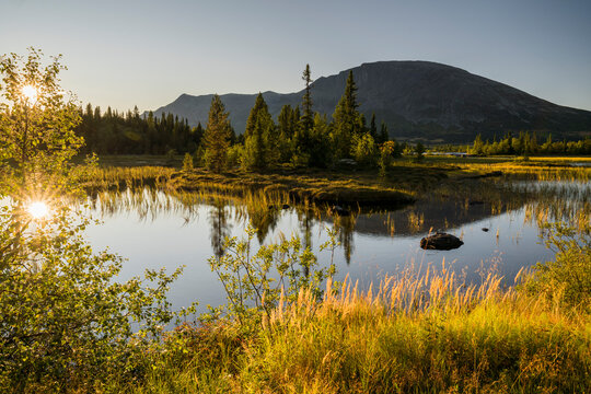 Skogshorn, Helsingvatnet, Hemsedal, Buskerud, Norwegen