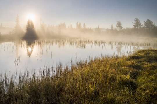 Morgenstimmung am Helsingvatnet, Hemsedal, Buskerud, Norwegen