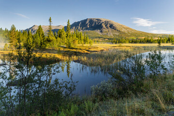 Skogshorn, Helsingvatnet, Hemsedal, Buskerud, Norwegen