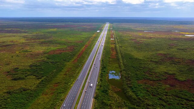 I-75 running through undeveloped Florida landscape with wetland vegetation.