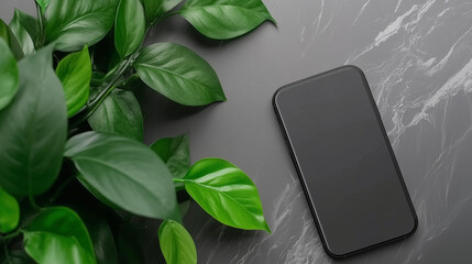 Modern gadgets arranged neatly on neutral background.