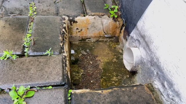 Dirty Outdoor Water Drainage Hole with Mossy Concrete and Small Insects