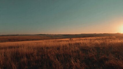Fototapeta premium Golden prairie grass at sunset