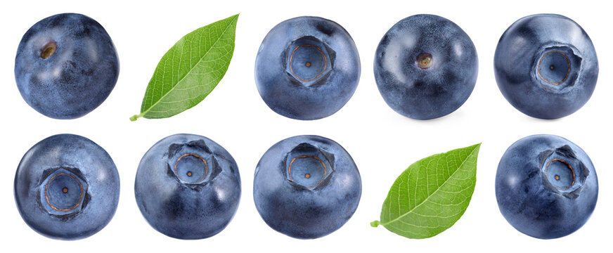 Fresh blueberries and green leaves isolated on white, set