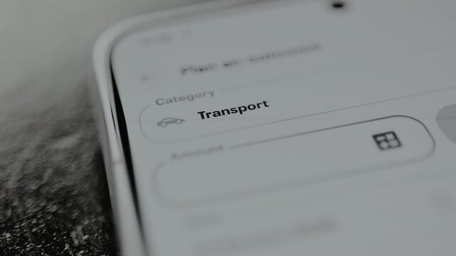 Planning the expense sum for Transport category within the financial management application