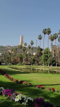 Lush Botanical Garden with Palm Trees and Martyrs Memorial in Algiers, Algeria