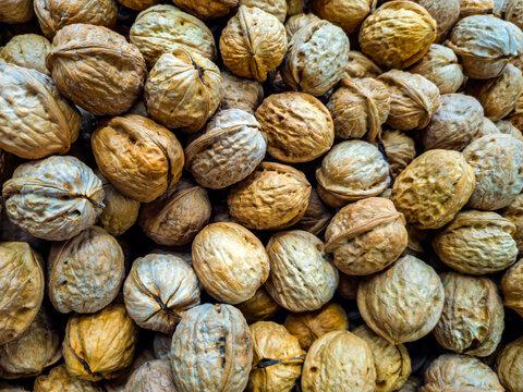 Close up of a large pile of whole unshelled walnuts filling the entire frame