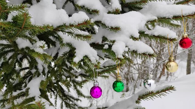 New Year's toys on a spruce branch