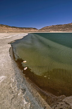 Semi-dry marshy plain along the NE shore of the emerald-green water Lake Aguelmame Sidi Ali in the Middle Atlas mountains. Midelt prov.-Morocco-122