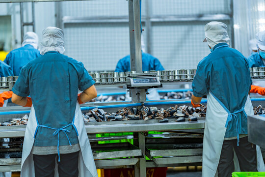 Workers processing fish on an industrial conveyor line in a modern food factory Focus on safety hygiene and efficiency in food manufacturing and packaging operations.