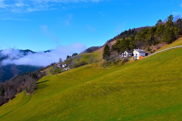 Green pastures covering the slopes bellow Osolnik in Slovenia © kato08