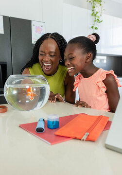 African American mom and child leaning over fishbowl watching fish at kitchen counter with folder