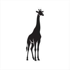 Giraffe silhouette a tall and elegant African animal standing gracefully on a white background
