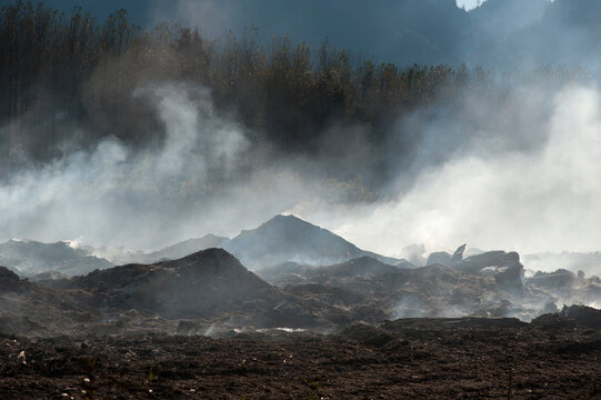 Canada, BC, Fraser Valley, Agassiz.  Slash burning on the side of the Fraser River.  A huge volume of river debris are disposed of in this way.