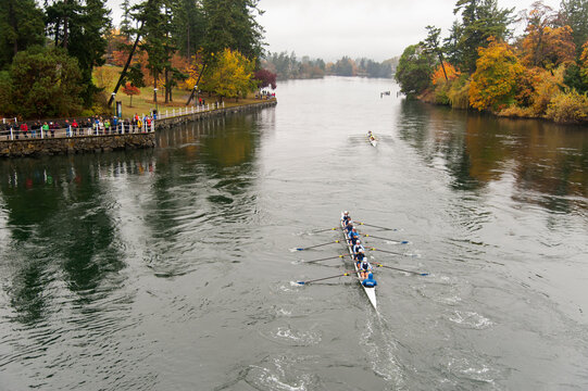 Canada, BC, Victoria.  Gorge waterway.  Head of the Gorge rowing regatta.  An eight person rowing shell passes through the gorge