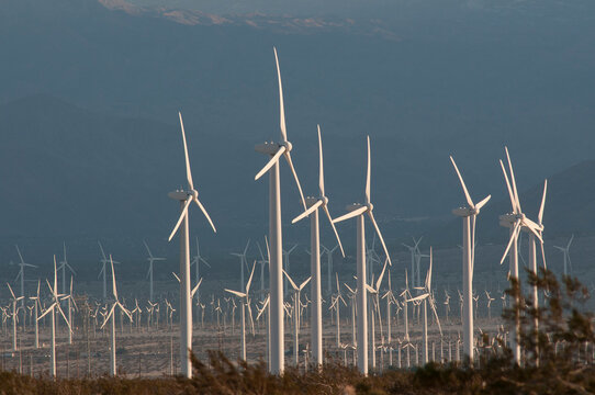 USA, California, Palm Springs.  San Gorgonio Wind Farm.  In the  Coachella Valley it is one of the US's largest wind farms. It contains more than 4000 separate windmills in a 70-square-mile area.