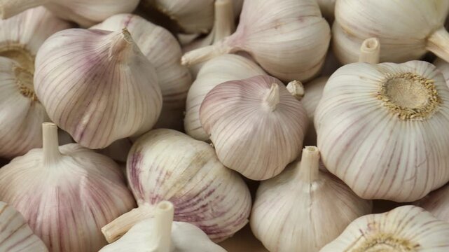 Fresh garlic bulbs as background, closeup. Camera moving right