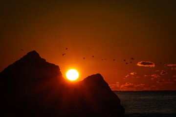 目覚めの空へ、狩りの群れ