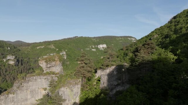 Drone flight over lush green forest revealing the Sabot de Malepeyre rock formation in Gorges du Tarn. Scenic landscape of Aubrac with clear blue sky and limestone cliffs.