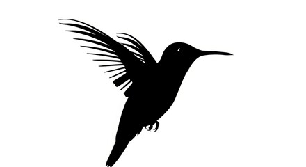 Fototapeta premium Hummingbird Silhouette Flying, Bird in Flight