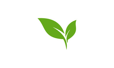 Obraz premium Two vibrant green leaves symbolizing nature and growth.