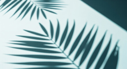 Obraz premium Minimalist composition of tropical palm leaf shadows cast on a serene light blue surface with soft focus and gentle light