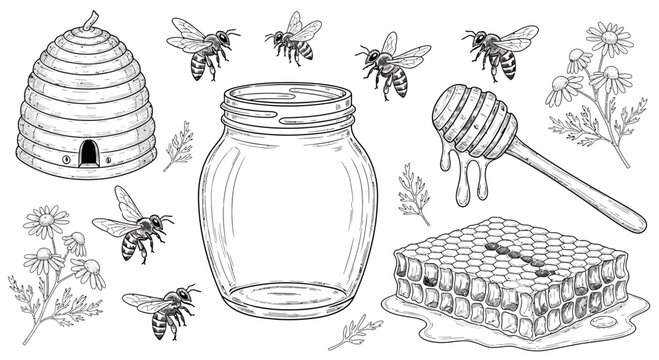 Beehive and honey jar illustration with bees and honeycomb elements vector