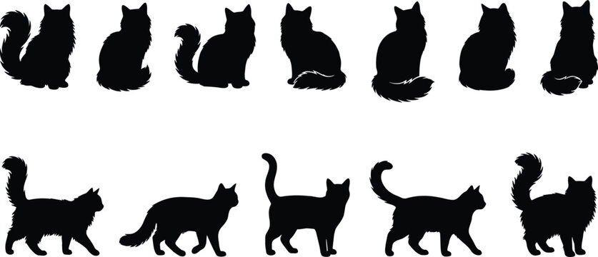 Collection of Fluffy Black Cat Silhouettes in Various Poses, Vector Illustration Isolated on White Background, Long Haired Feline Character Design Set