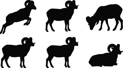 Black silhouettes of bighorn sheep and rams in various poses including jumping, standing, grazing, and lying down on white background © Boby