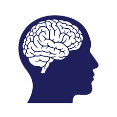 Silhouette Head Outline with Visible Brain Anatomy Representation and Dark Blue Color Palette