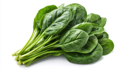 Obraz premium fresh spinach leaves isolated on white background