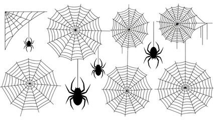 Obraz premium Multiple Spiders and Intricate Webs Spanning the Frame.